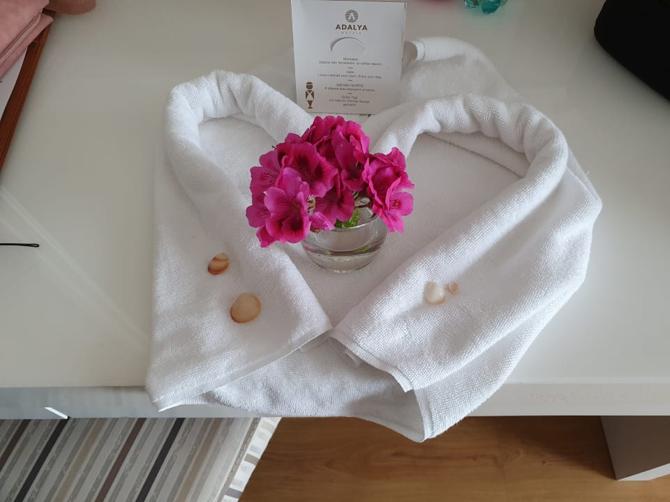 Zimmer Adalya Ocean Deluxe