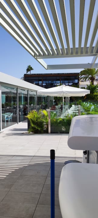 Gastro Canary Garden Club