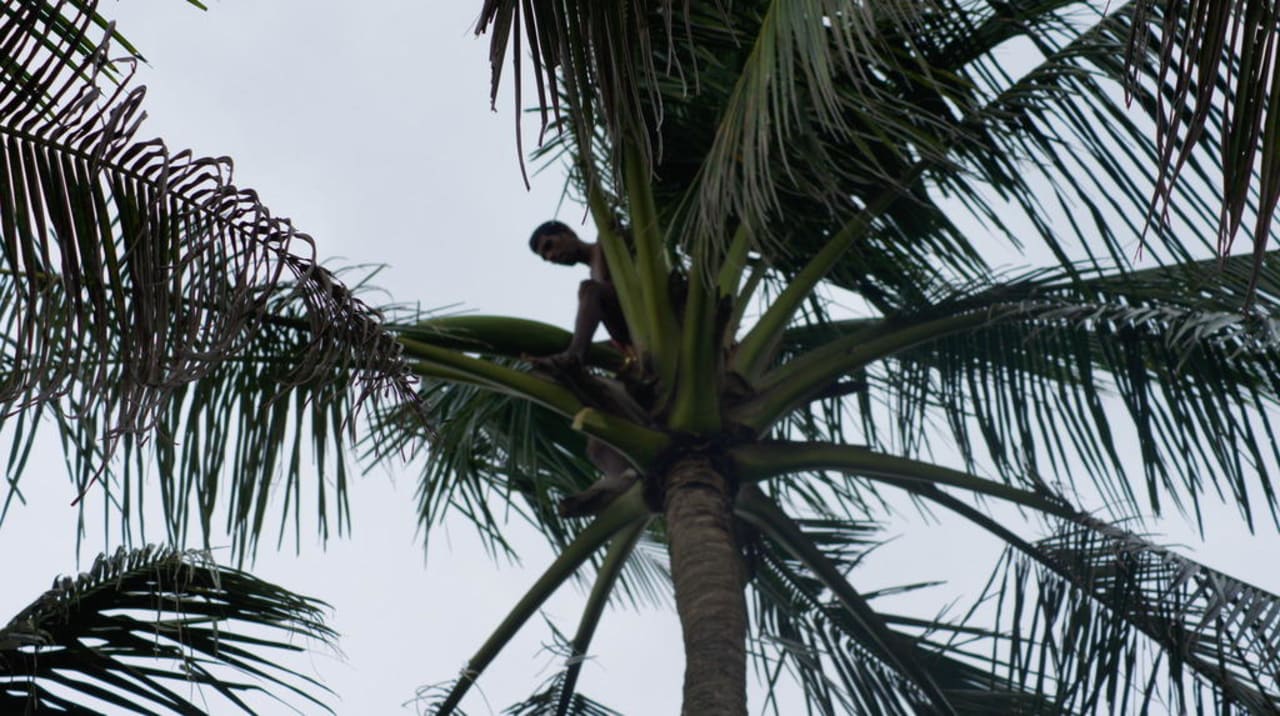 Porządki w ogrodzie Mermaid Hotel & Club