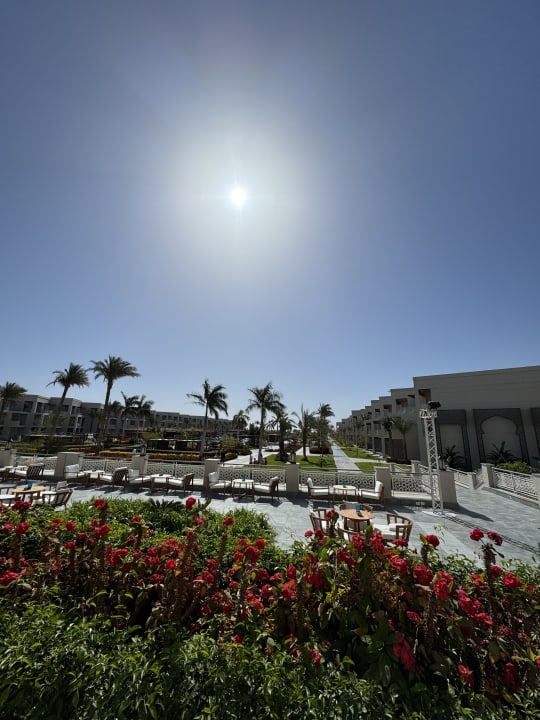 Ausblick Steigenberger Resort Ras Soma