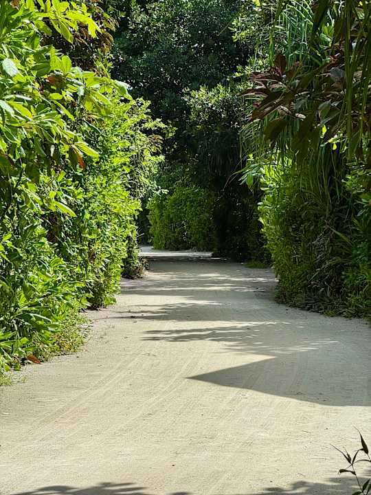 Außenansicht Ifuru Island Maldives