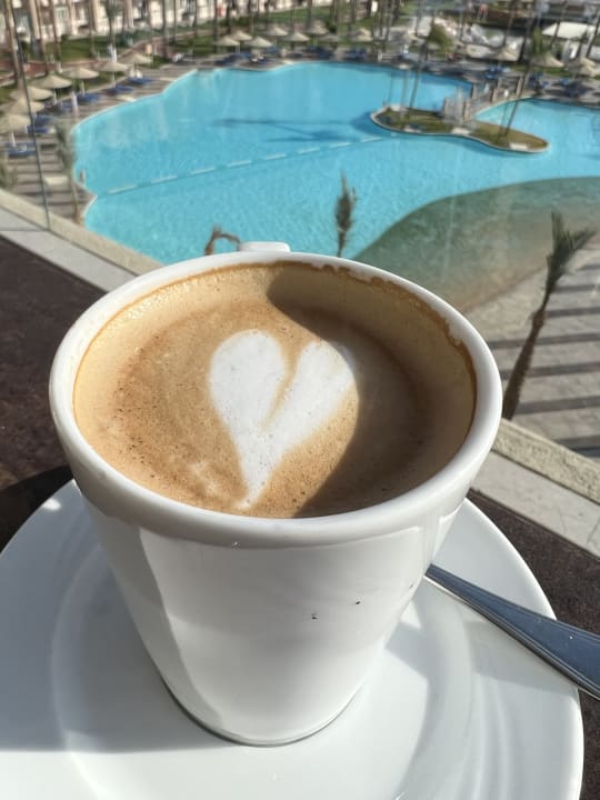 Gastro Pickalbatros Palace Resort