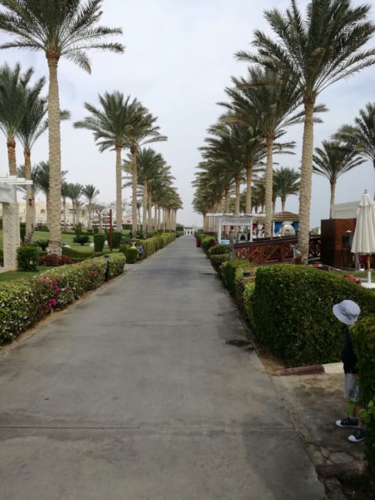 Strand Rixos Sharm El Sheikh Adults Only 18 +
