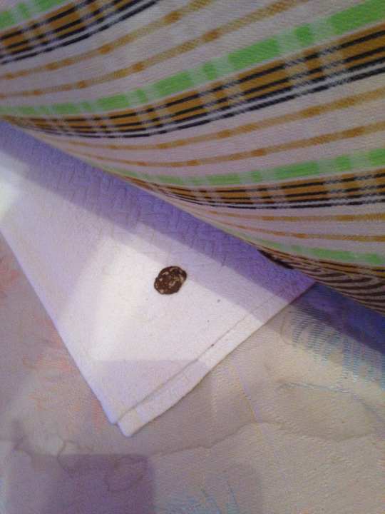 Unter der Matratze Hotel Bílý Hořec