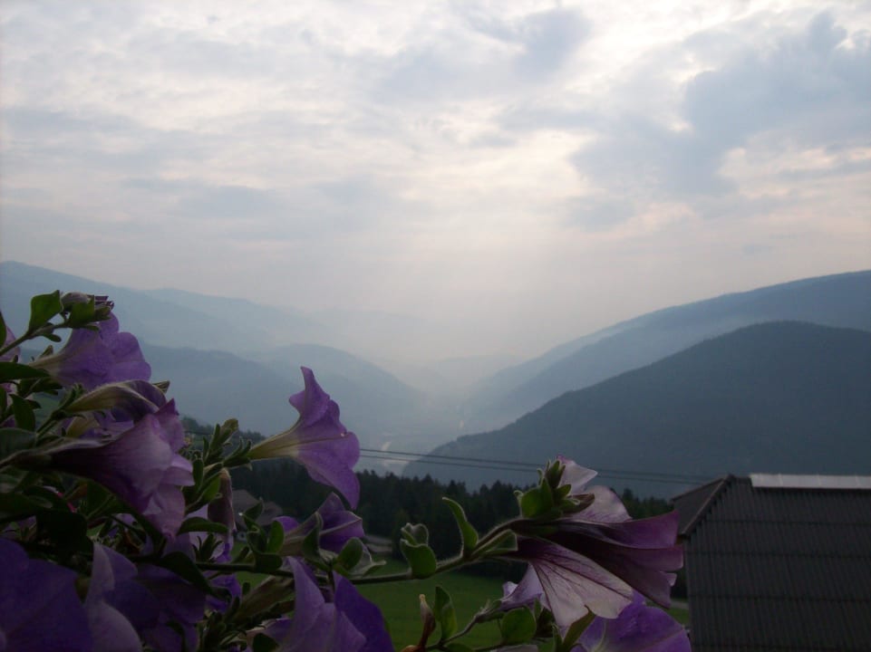 Morgenstimmung  Pension Sonnenhof