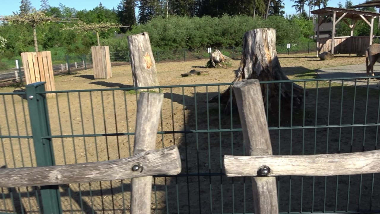 Sport & Freizeit Center Parcs Park Allgäu