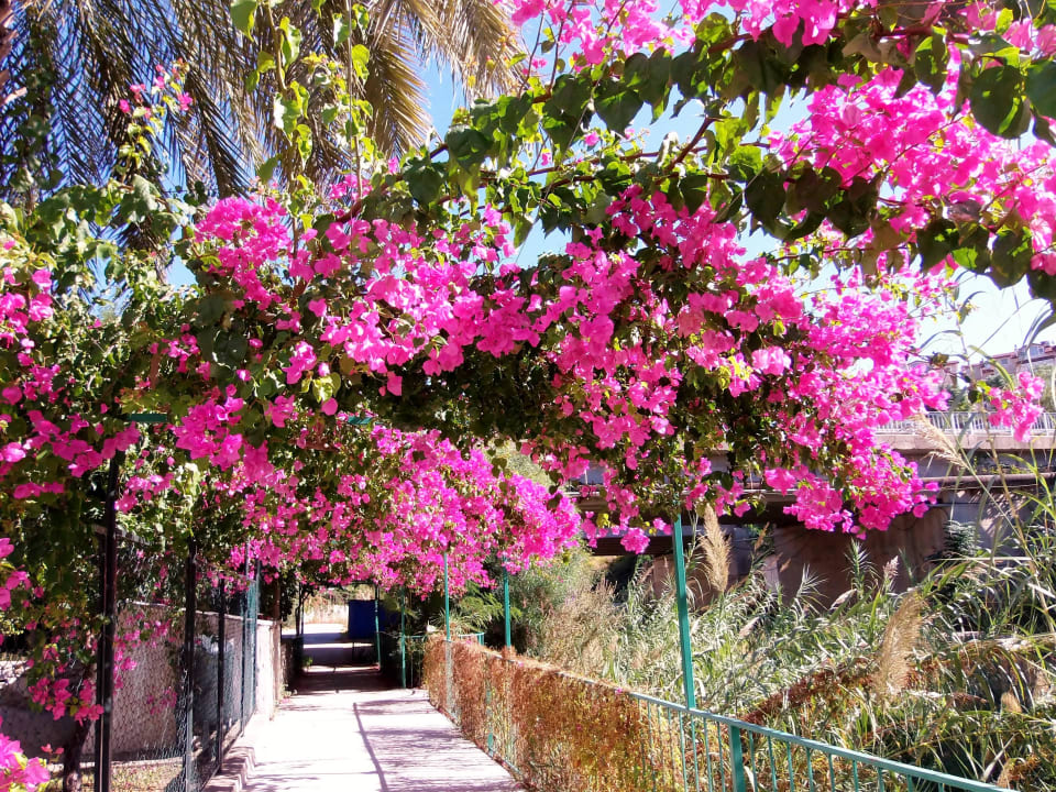 Weg zum Strand My Home Resort