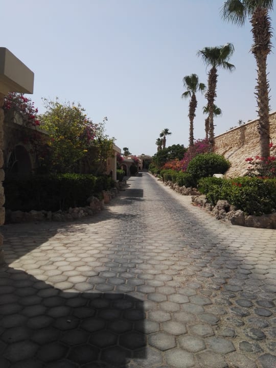 Gartenanlage Pickalbatros Citadel Resort