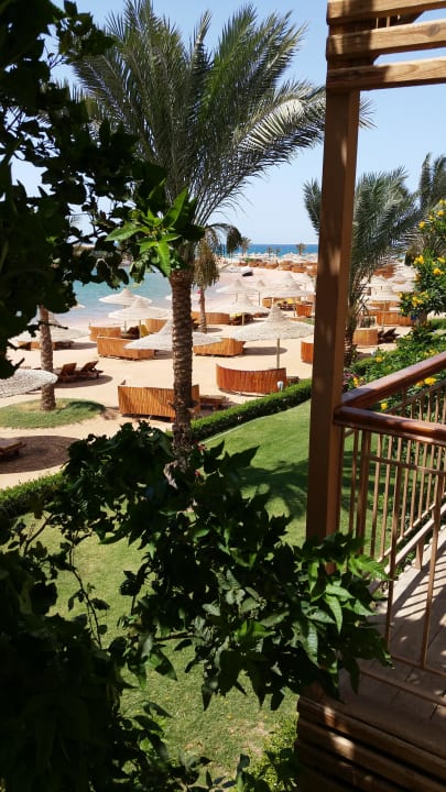 Ausblick vom Zimmer Desert Rose