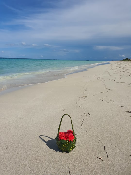 Strand Paradisus Princesa del Mar Resort & Spa - Adults only