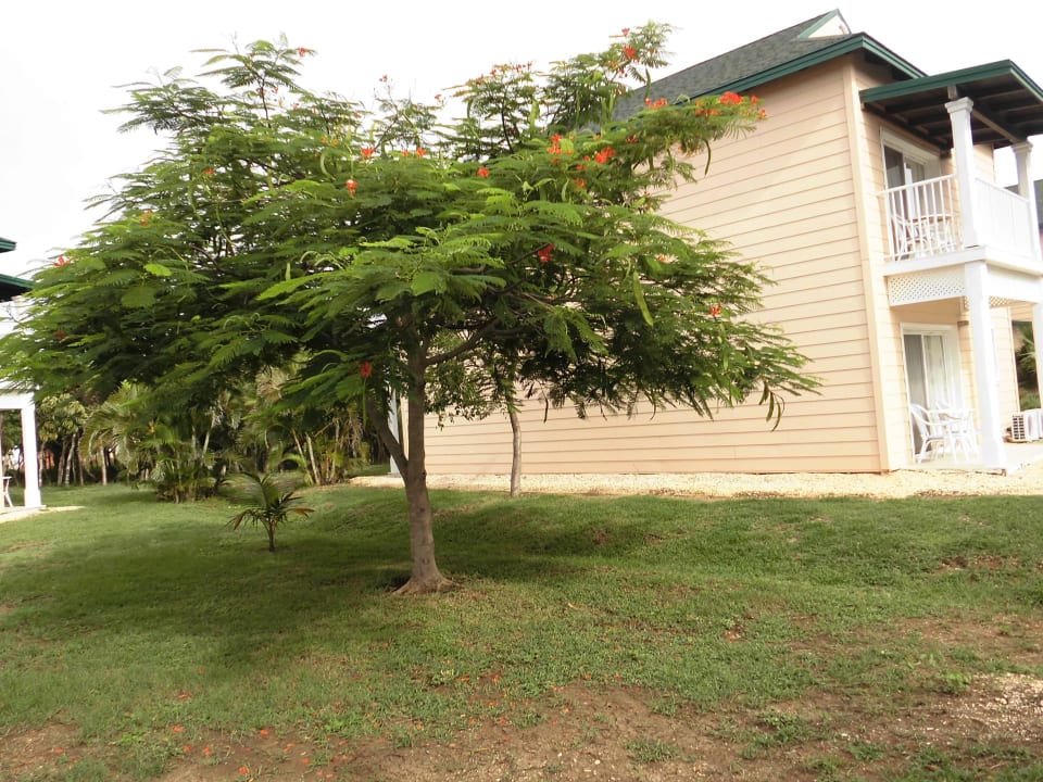 Außenansicht Valentin El Patriarca Varadero