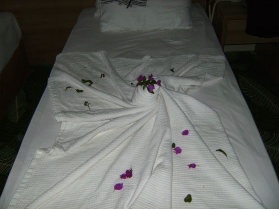 Himmelbett Marvida Family Eco