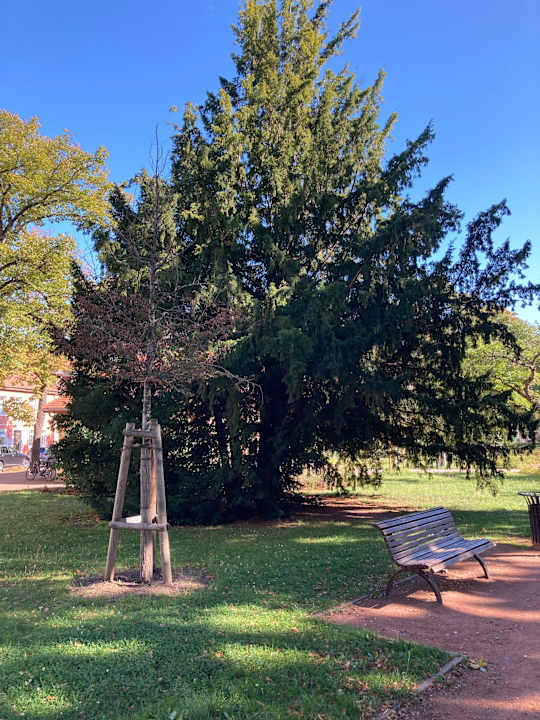 Gartenanlage Best Western Parkhotel Brehna - Halle