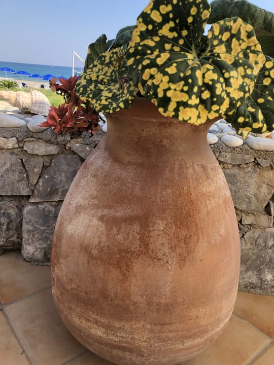 Gartenanlage Hotel Kathrin Beach