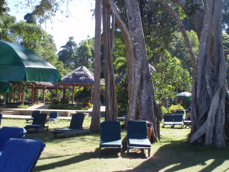 Liegen im Strandnähe Khao Lak Merlin Resort