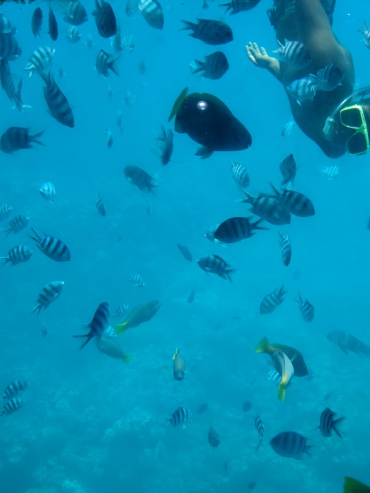 Sport & Freizeit Makadi Spa - Adults only