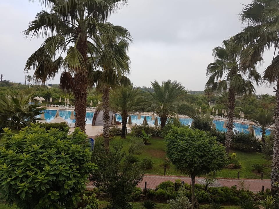 Pool Seaden Sea World Resort & Spa