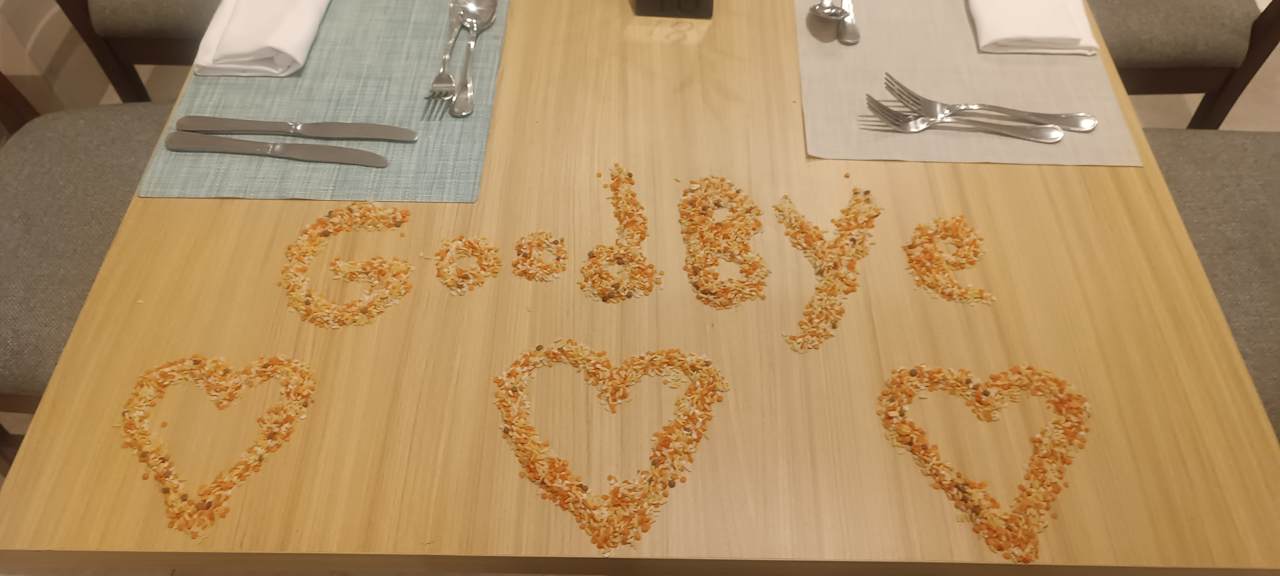 Gastro JAZ Elite Asteria