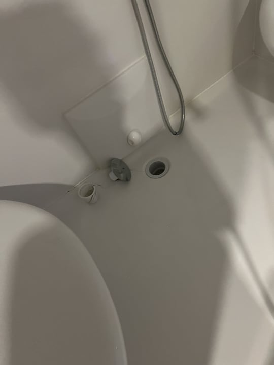 Zimmer Royal Seginus