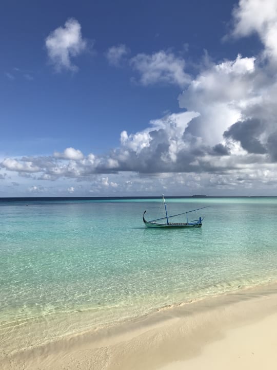 Strand Summer Island Maldives