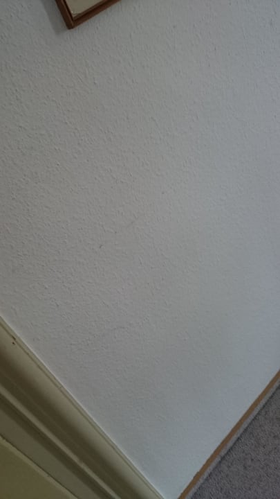 Gebrauchsspuren Tapete Hotel Schiffmeister