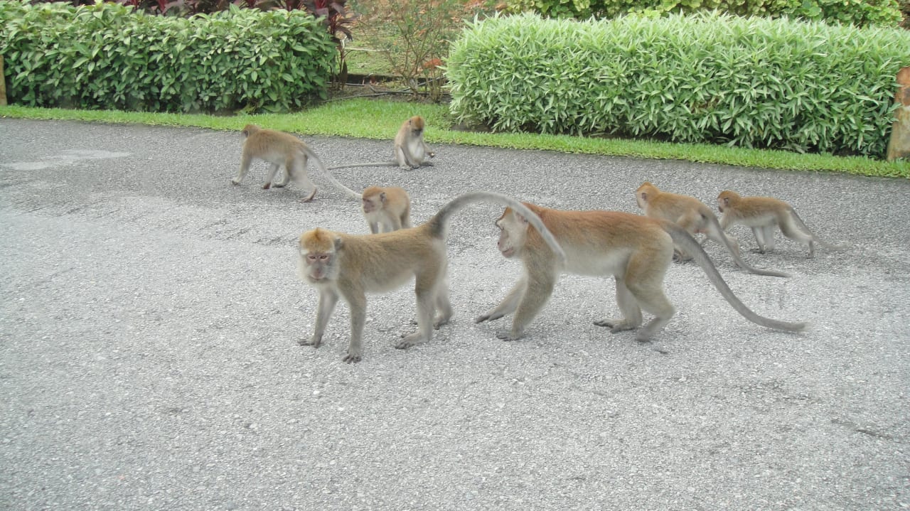 Vor der Lobby Berjaya Langkawi Resort