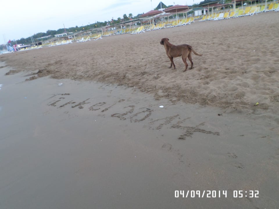 Strand Kamelya Aishen Club