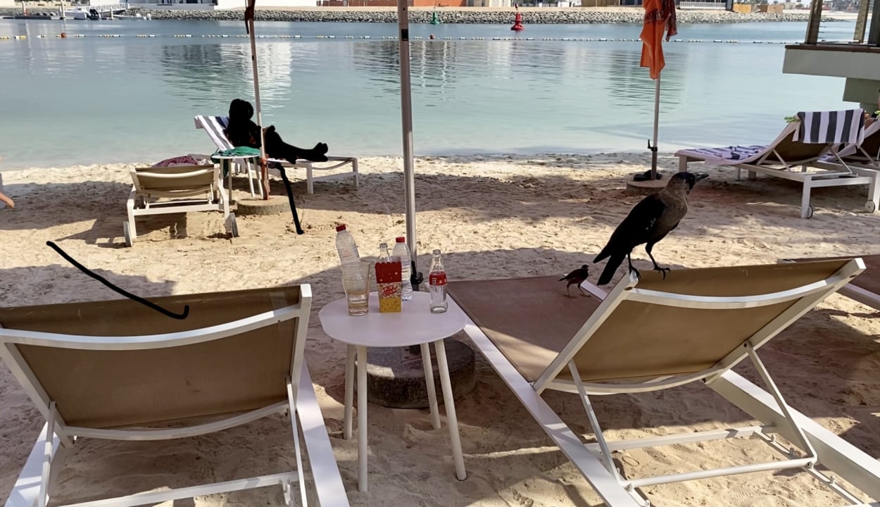 Strand Grand Hyatt Abu Dhabi Hotel & Residences Emirates Pearl