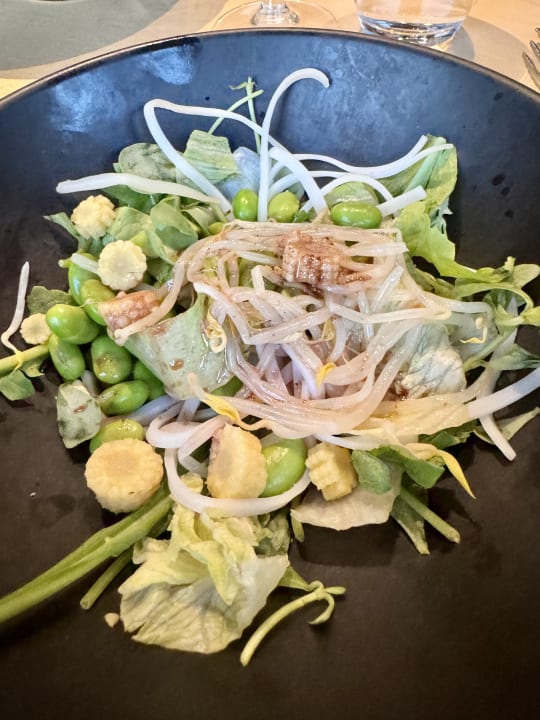 Gastro PALOMA Perissia