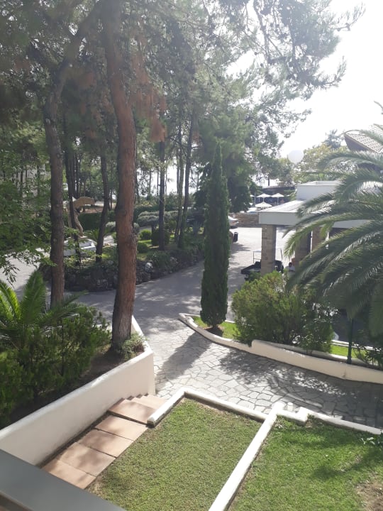 Zimmer Alexandra Beach Thassos Spa Resort