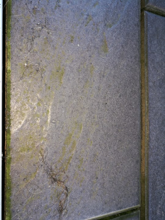 Außenansicht Elbstrand Resort