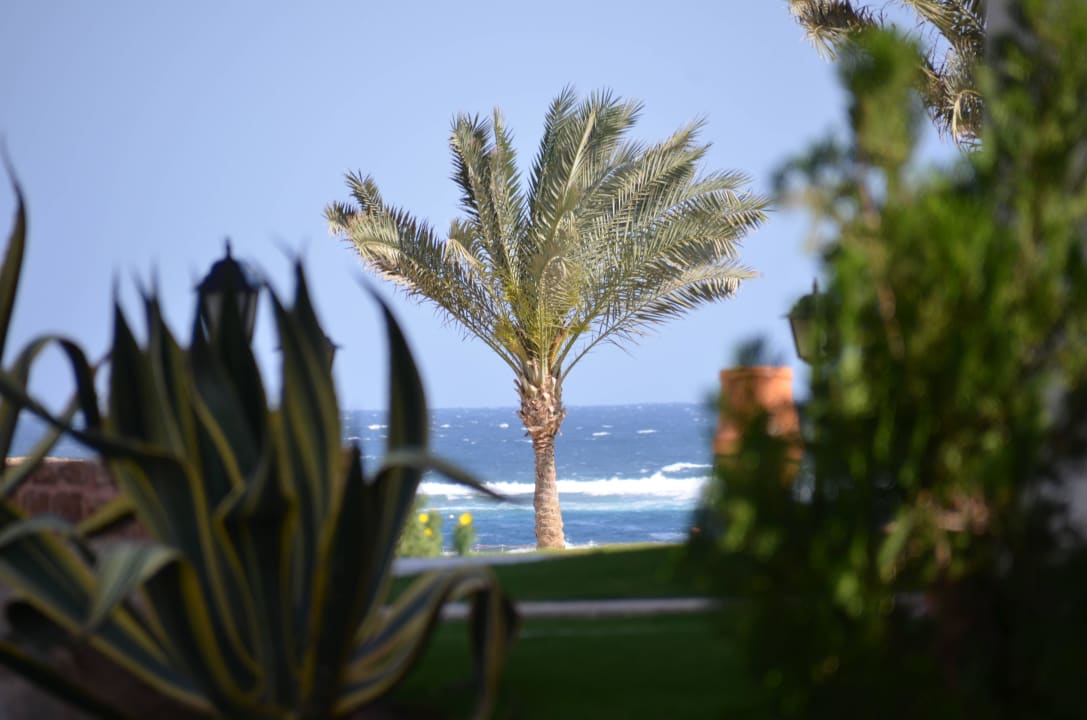 Zimmerausblick Jaz Solaya