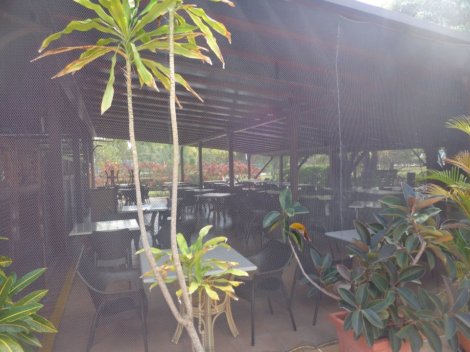 Mittagstisch Blau varadero - Adults only