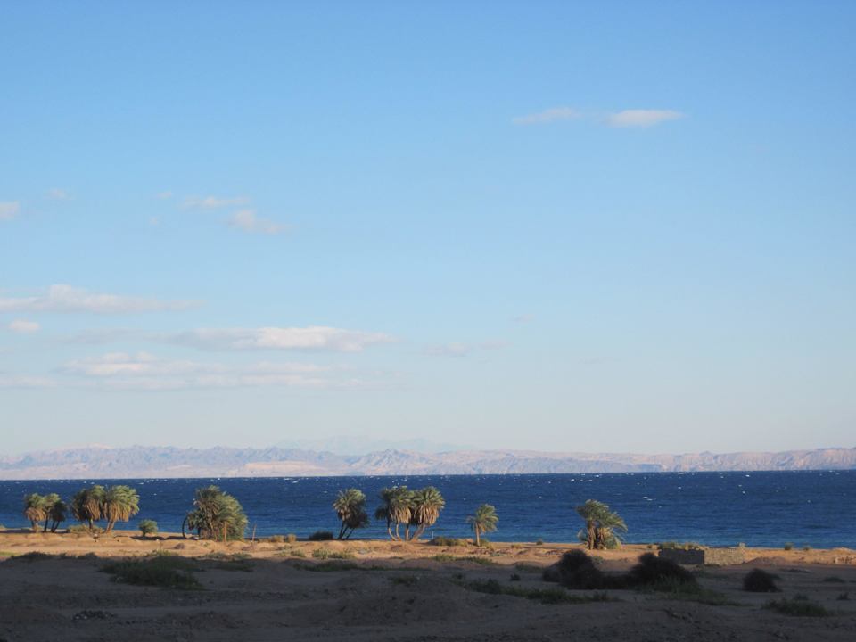 Widok z pokoju Happy Life Village