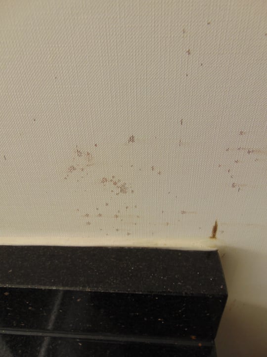 Zimmer Hotel Hilton Atlanta