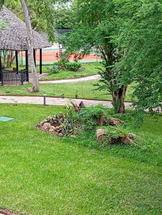 Außenansicht Baobab Beach Resort & Spa