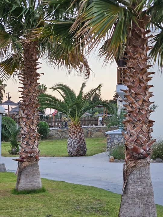 Gartenanlage Grand Blue Beach Hotel