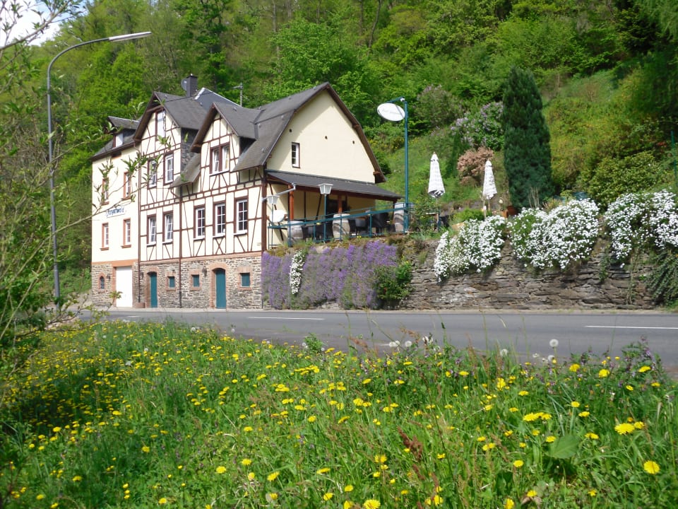 Außenansicht Boutique-Hotel Jungenwald