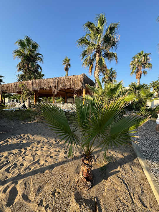 Gartenanlage Sultan of Dreams Hotel & Spa