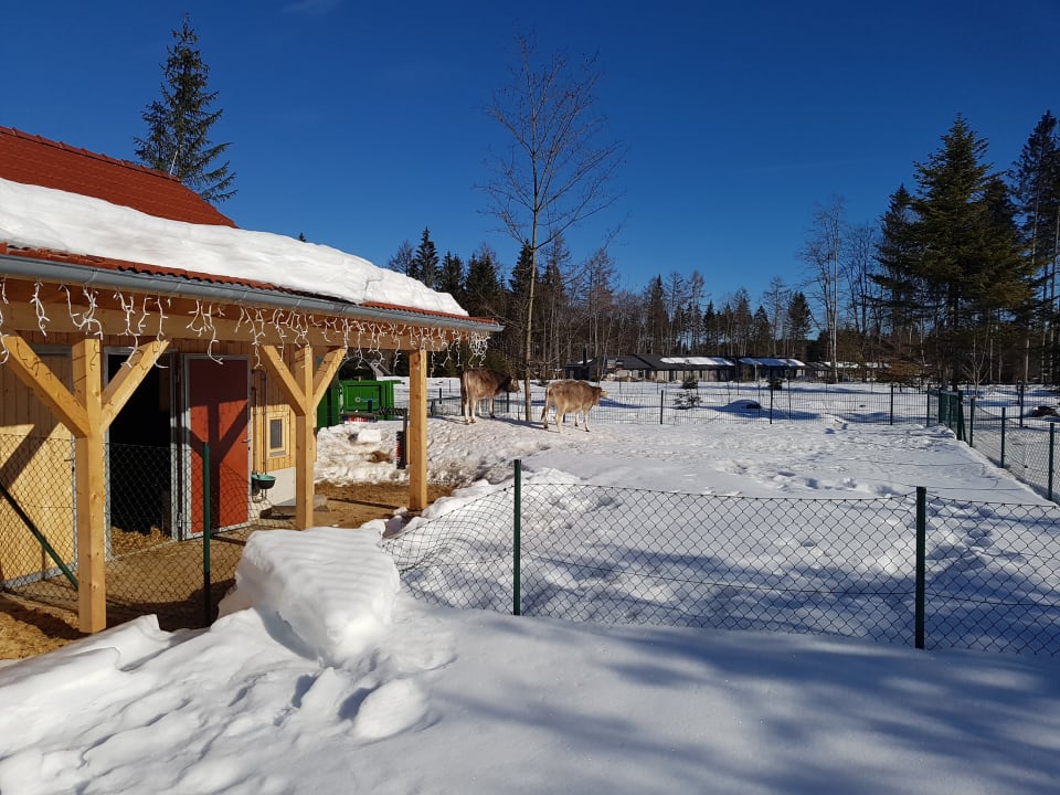 Sport & Freizeit Center Parcs Park Allgäu