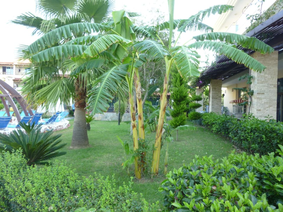 Garten Saphir Hotel & Villas