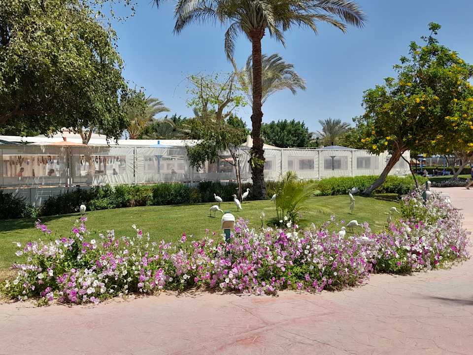 Außenansicht Desert Rose