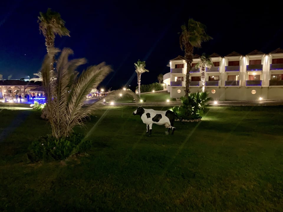 Gartenanlage Hotel Kalithea Horizon Royal