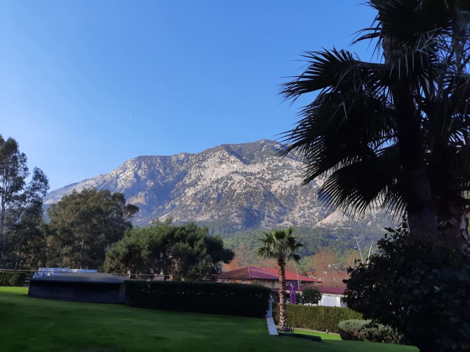 Ausblick TUI MAGIC LIFE Beldibi +16