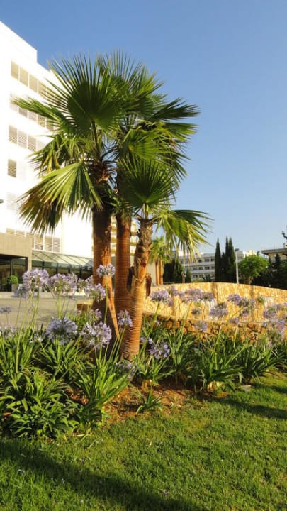 Vor dem Hotel Protur Palmeras Playa Aparthotel