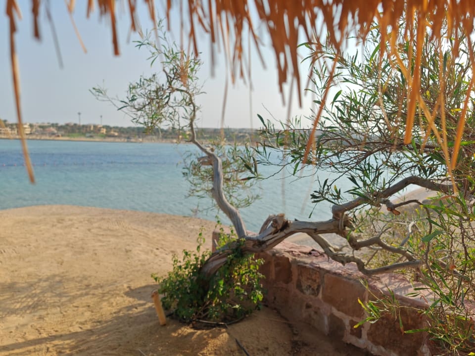 Strand Steigenberger Coraya Beach - Adults only