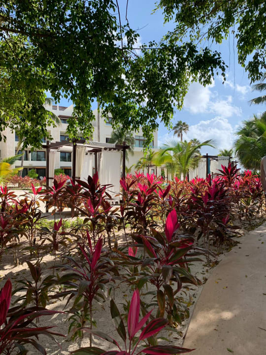 Gartenanlage Akumal Bay Beach & Wellness Resort