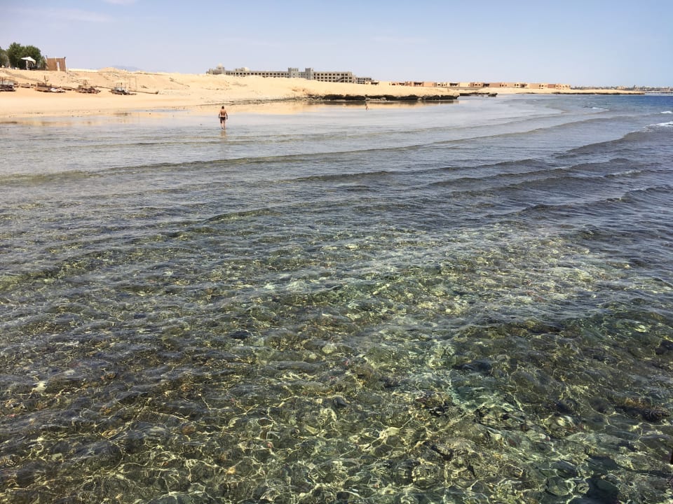 Strand Serenity Alpha Beach