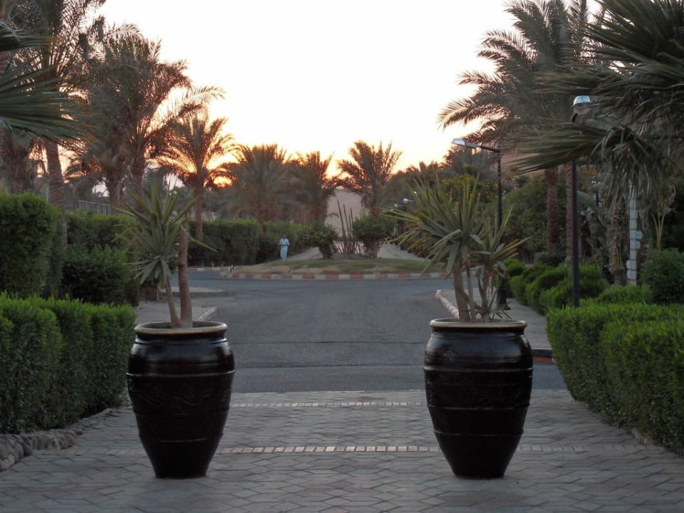 Vor dem Haupteingang Jaz Makadi Oasis Resort