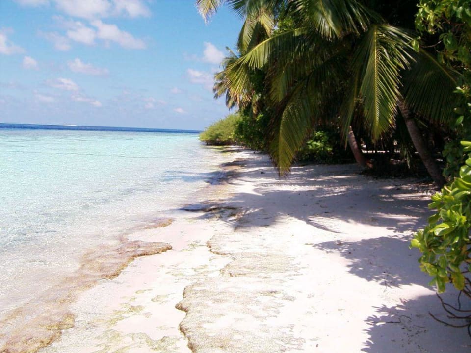 104 Strand nach rechts fotografiert Vilamendhoo Island Resort & Spa